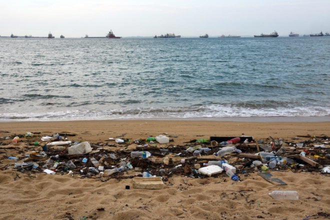 heaps of trash on a beach