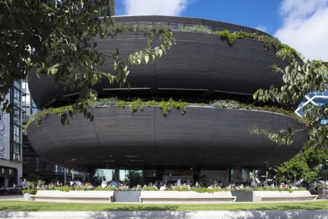 green plants growing over black edges of a building