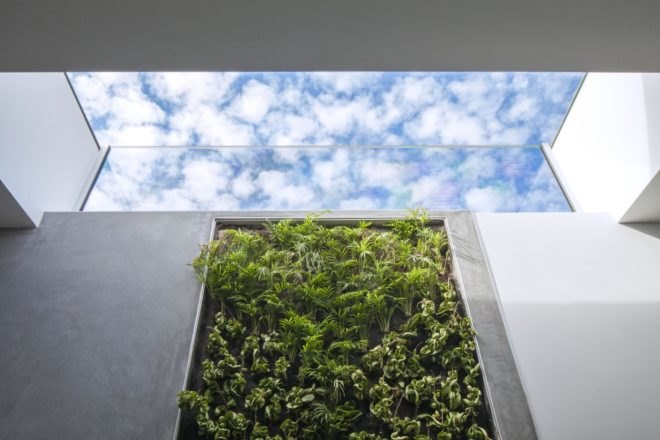 green wall below open sky