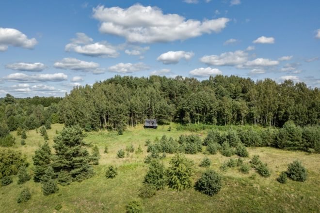a green forest with a black hut