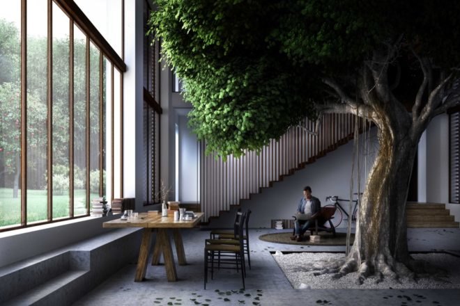 rendering of room with large glass windows and tall, leafy Ficus tree growing in center of the room