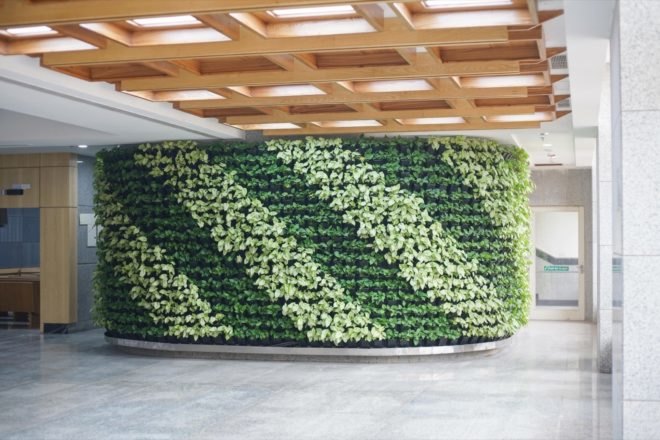 rounded green wall