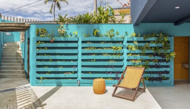 lounge chair beside bright blue wall with plants