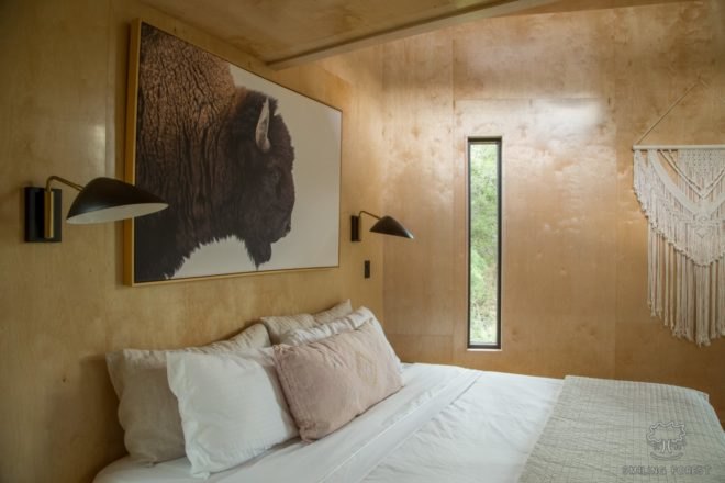 bed with image of buffalo on the wall