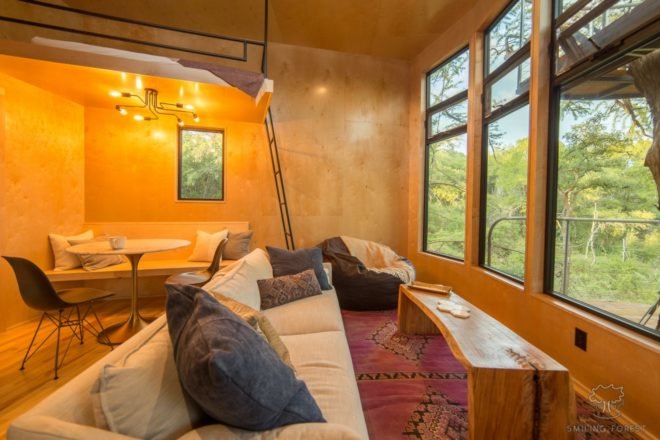 wood-lined living room with large windows