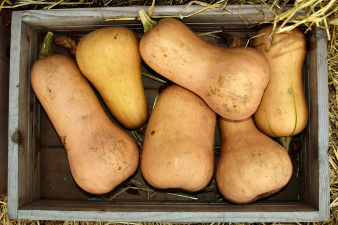 wood crate of butternut squash