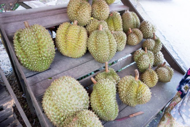wooden shelves holding spiky green fruit