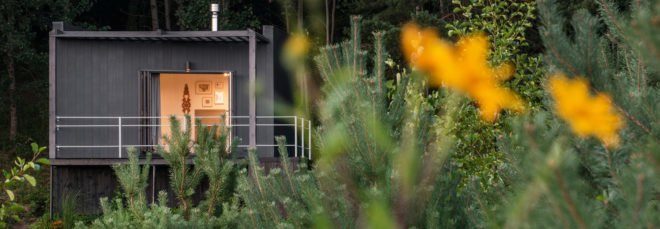black hut surrounded by greenery