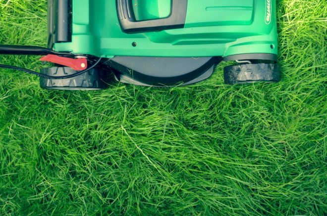 green push mower on a grassy lawn