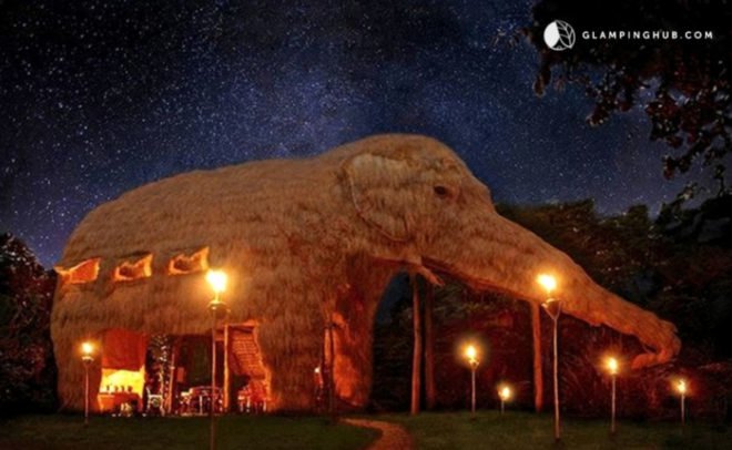 elephant-shaped villa made out of thatch