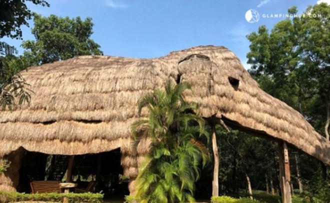 elephant-shaped straw hotel surrounded by trees
