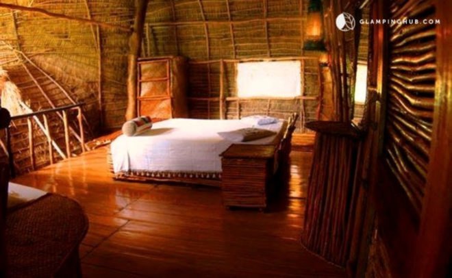 wood-lined hotel room with white bed