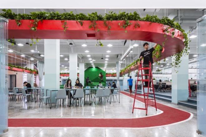 man on a ladder tending to plants
