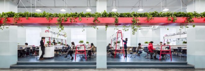 people working at desks in office with greenery