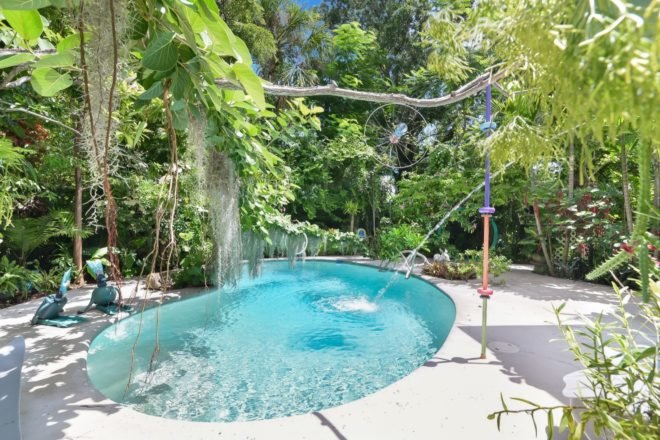 swimming pool surrounded by plants
