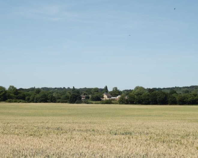 granary in the distance surrounded by greenery and farmland