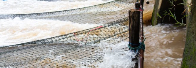 drainage nets attached to stormwater drains