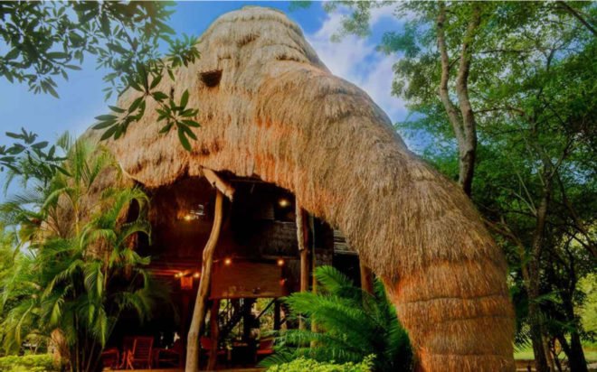 elephant trunk hotel entrance