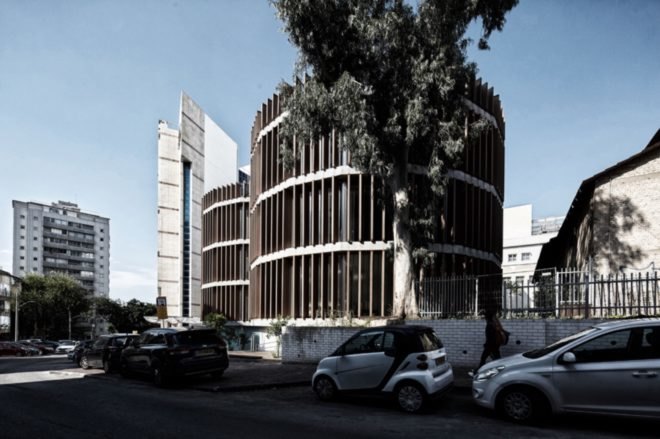Large Eucalyptus tree faces the building