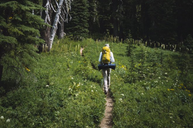 person carrying backpack and hiking through the forest