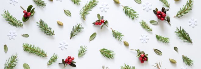 evergreen pines, winter berries and leaves on white background