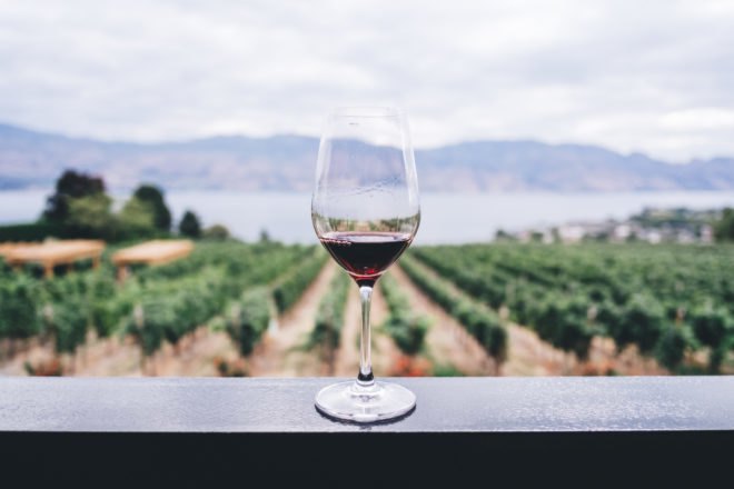 Glass of wine on table with vineyard in background