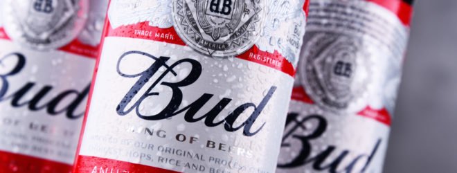 Budweiser beer