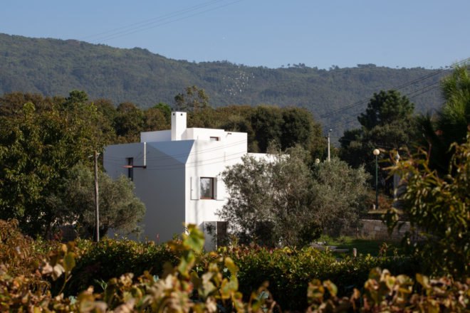 white cube-shaped home surrounded by greenery
