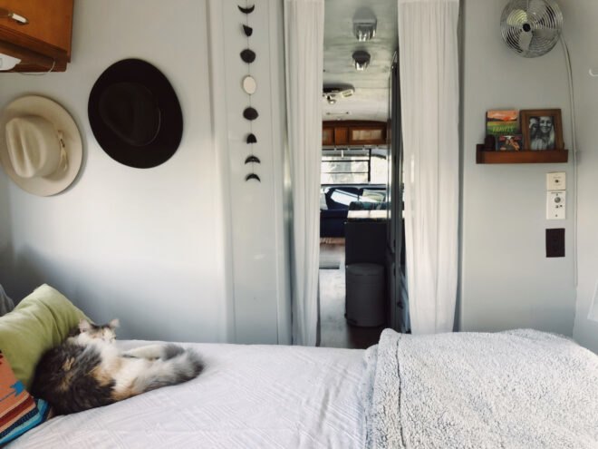 bedroom with cat on top of bed