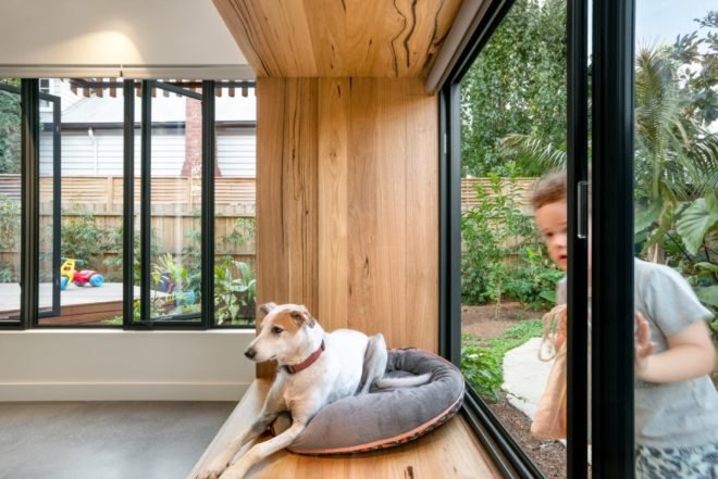 dog lying in gray dog bed beside a window