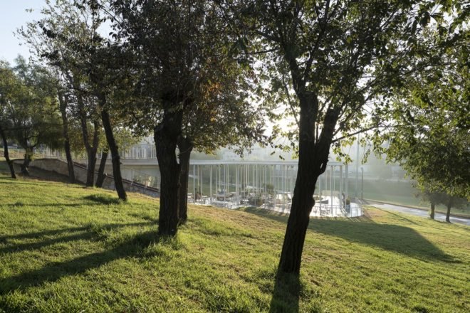 cafe's modern design surrounded by greenery and trees in park