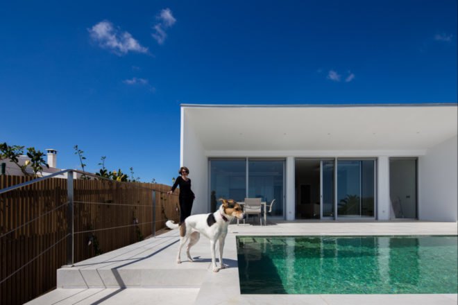 woman and dog on edge of swimming pool