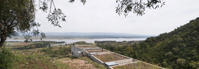 a rectangular home with green roof