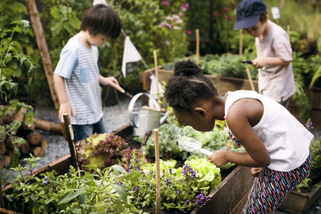three children tending to a garden