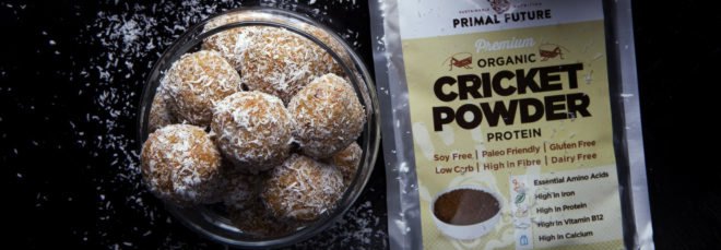 protein snacks beside packet of cricket protein powder