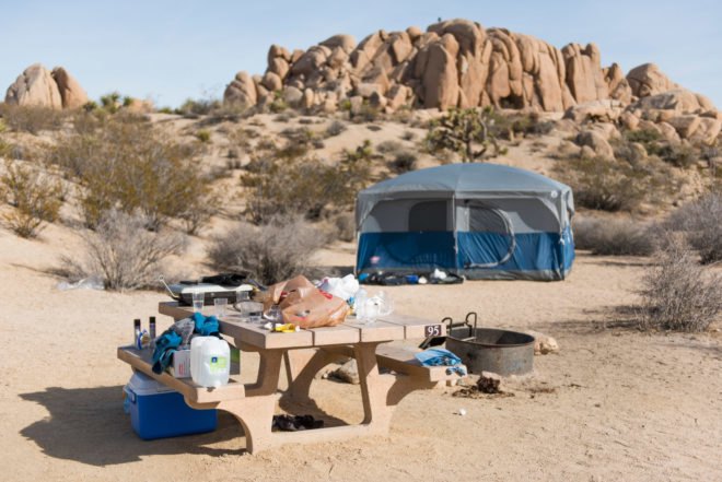Unattended food left in a campsite at Joshua Tree National Park