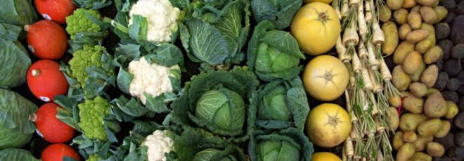 lettuce, squash, cauliflower, carrots and potatoes