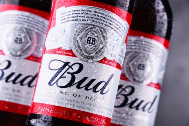 Budweiser beer