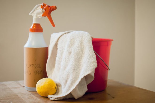 cleaning bucket, spray bottle and rag