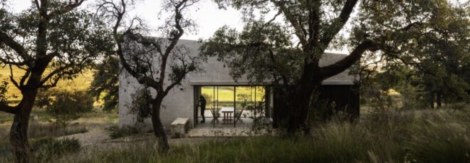 gray stone home surrounded by trees