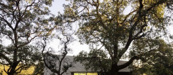 gray stone home surrounded by trees