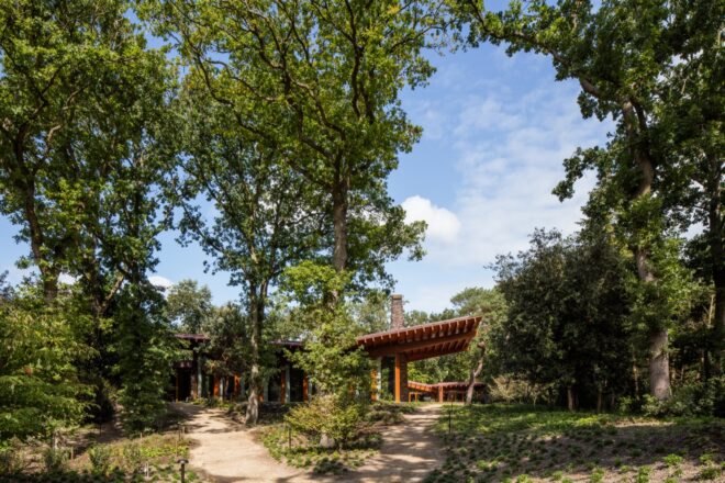 home surrounded by greenery