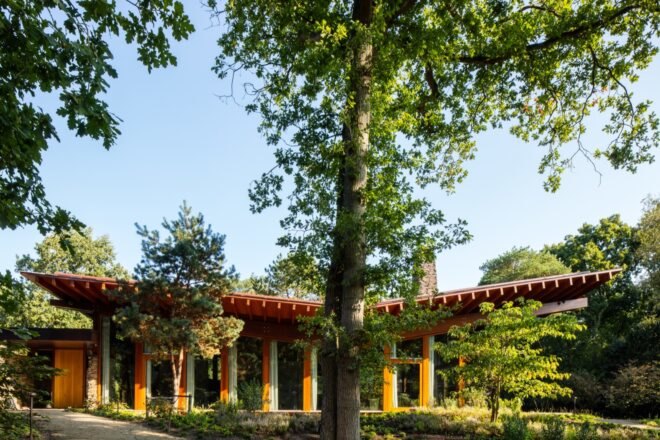 home surrounded by greenery