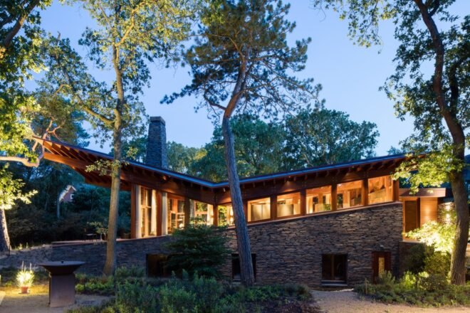 home surrounded by greenery