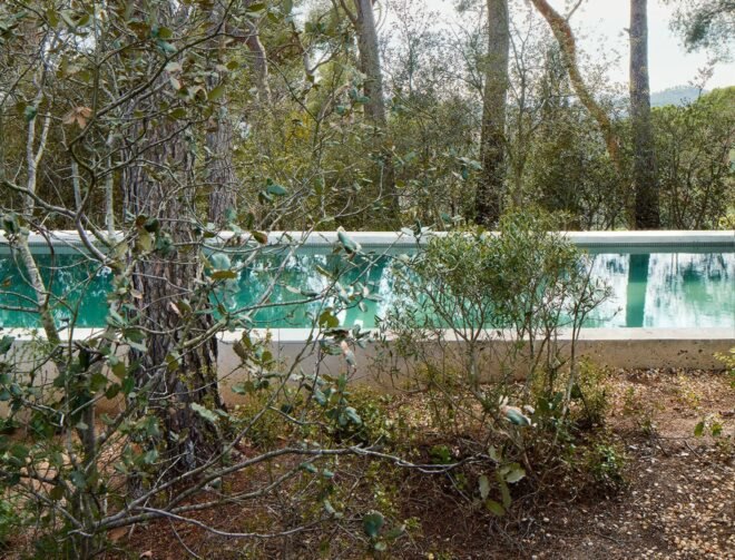 a swimming pool surrounded by trees