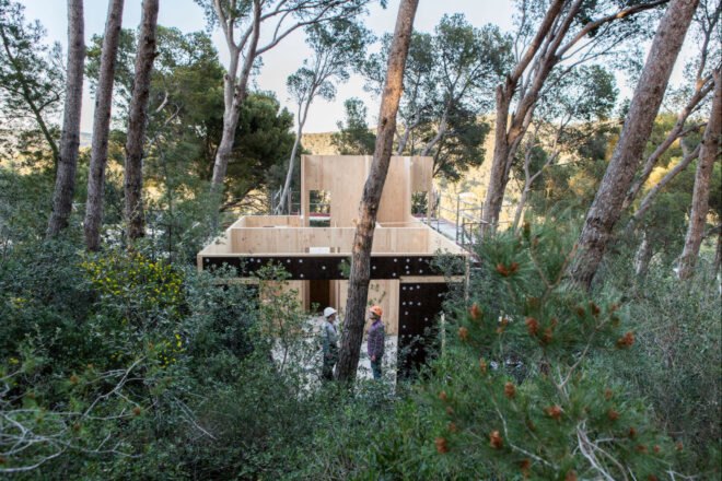 a cork-clad structure on stilts surrounded by trees