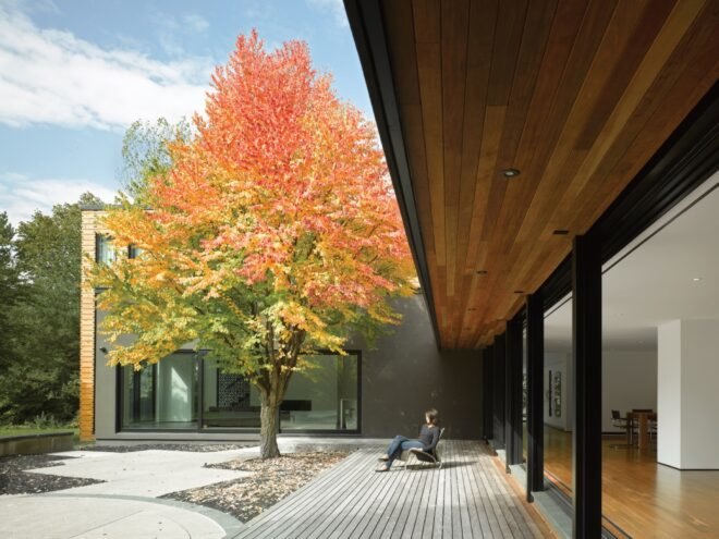person sitting in chair outside under leafy tree