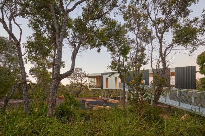 modern home on stilts surrounded by forest at dusk