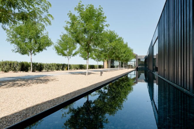 view of trees with a reflecting pool