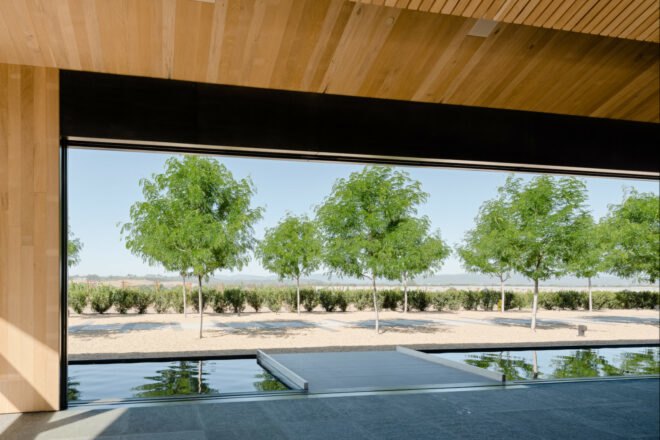 view of trees with a reflecting pool